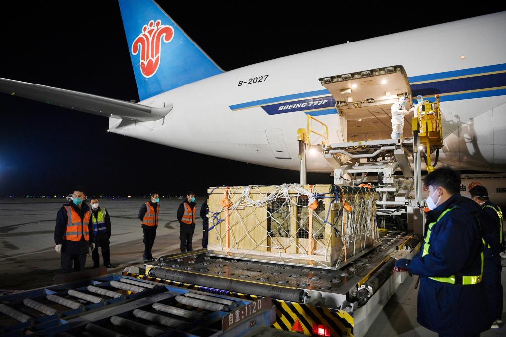 新華全媒+丨新西蘭&ldquo;羊包機&rdquo;助力拓展寧夏開(kāi)放&ldquo;朋友圈&rdquo;