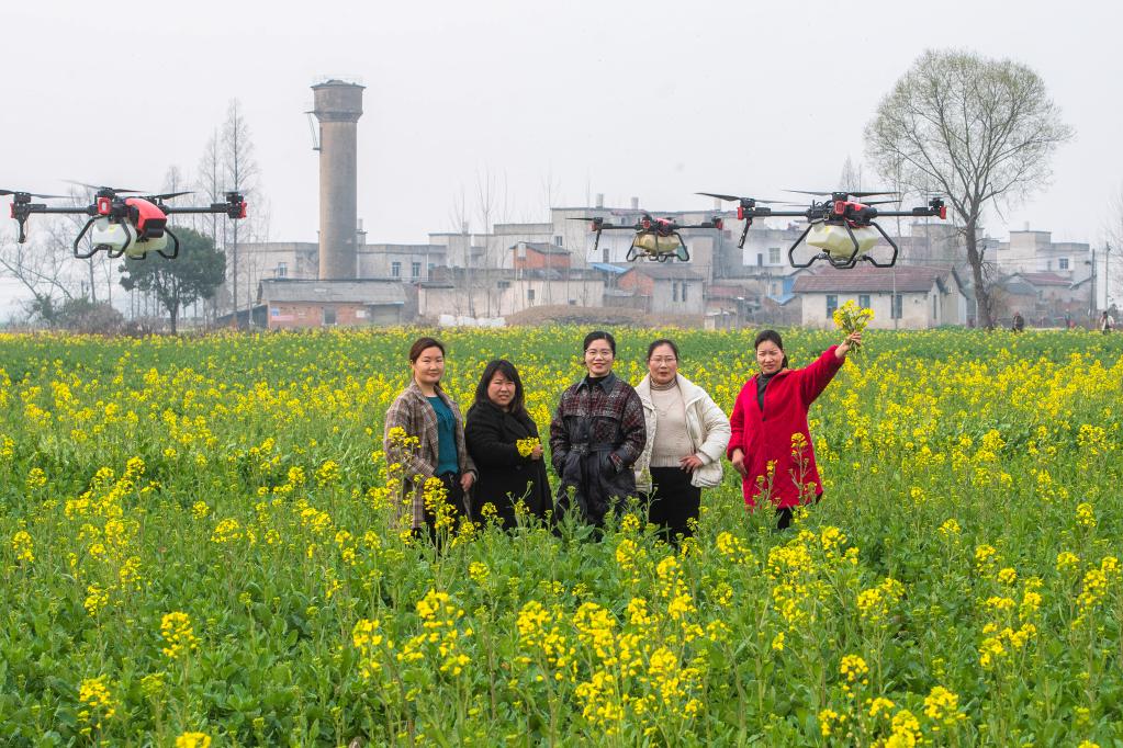 湖北天門(mén)女&ldquo;飛手&rdquo;：在田野上空播撒希望