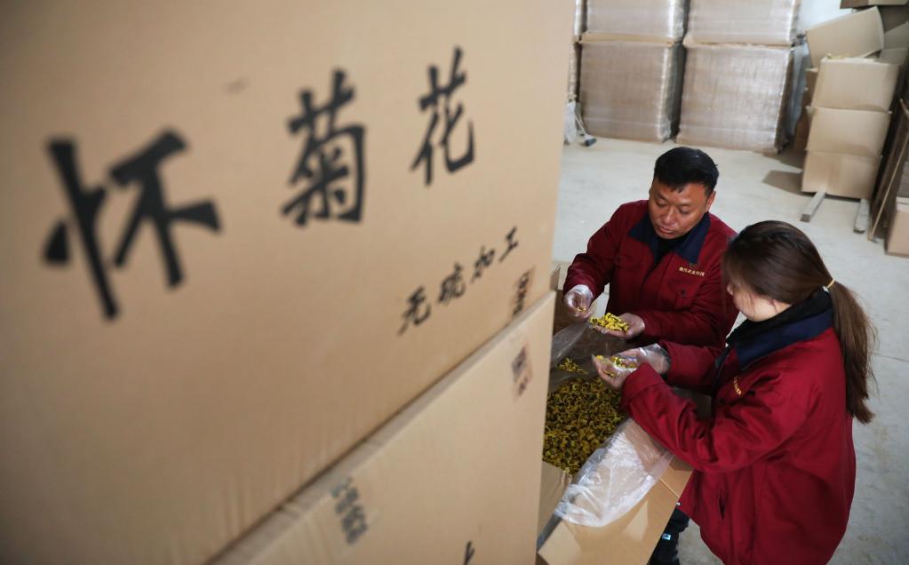 河南武陟：&ldquo;土特產(chǎn)&rdquo;俏市場(chǎng)