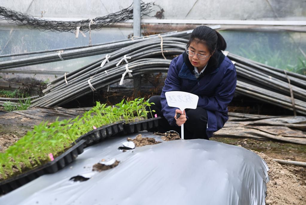 杭州臨安：&ldquo;新農人&rdquo;助推鄉村新產(chǎn)業(yè)新業(yè)態(tài)發(fā)展