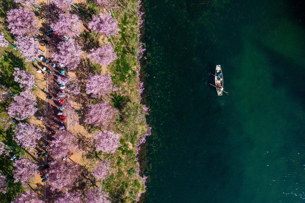 新華全媒+｜浙江水環(huán)境治理成效顯著(zhù) 美麗河湖扮靚&ldquo;詩(shī)畫(huà)江南&rdquo;