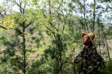 新華全媒+｜大山里的綠色守護者陳華：堅守崗位十八載 只為青山滿(mǎn)眼綠