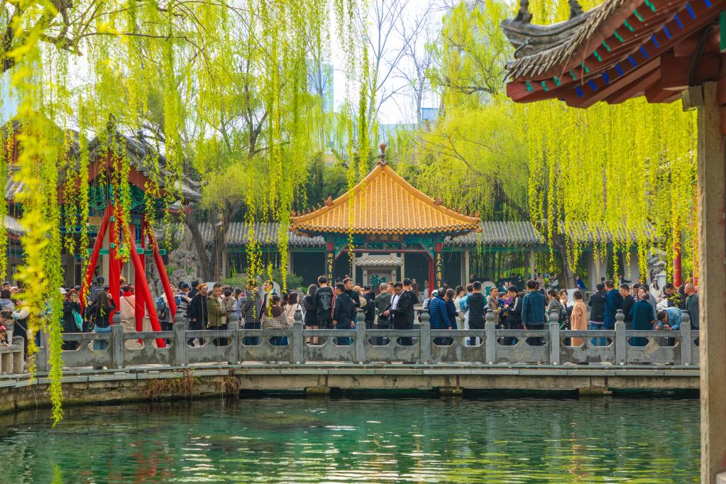 詩(shī)意中國&mdash;&mdash;萬(wàn)條垂下綠絲絳