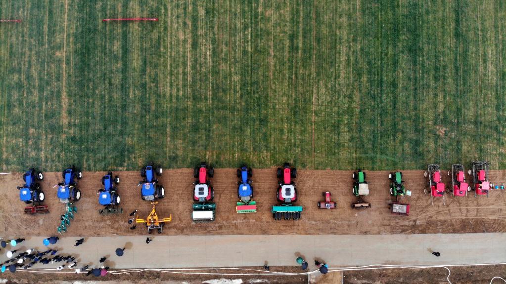 山東青島：&ldquo;麥田課堂&rdquo;授技能 &ldquo;綠色增糧&rdquo;保豐收