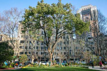 新華全媒+丨60秒！帶你&ldquo;穿越&rdquo;綠色上海