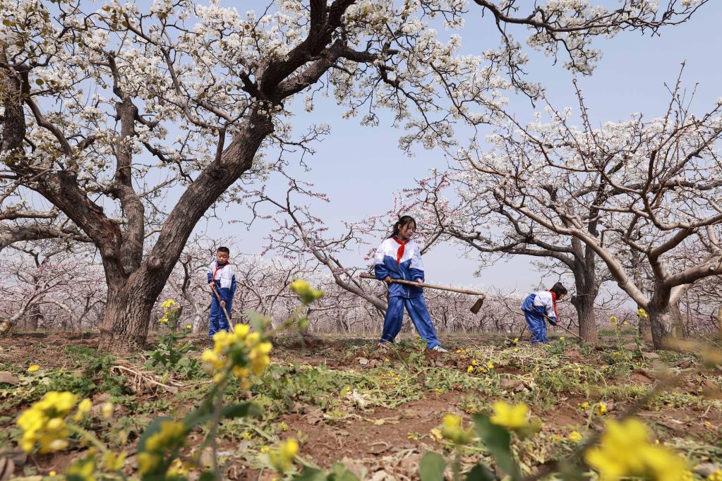 河北內丘：田間課堂 快樂(lè )成長(cháng)