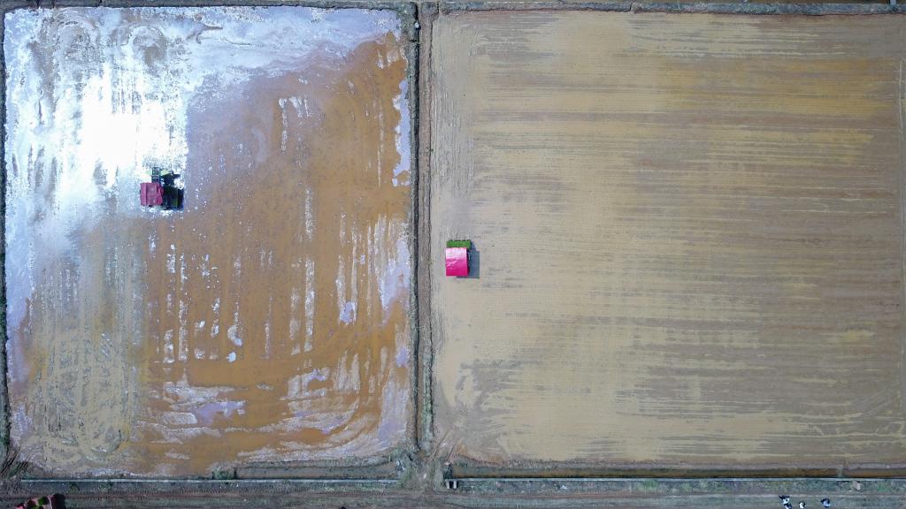 春季耕種正當時(shí) 機械插秧&ldquo;加速度&rdquo;