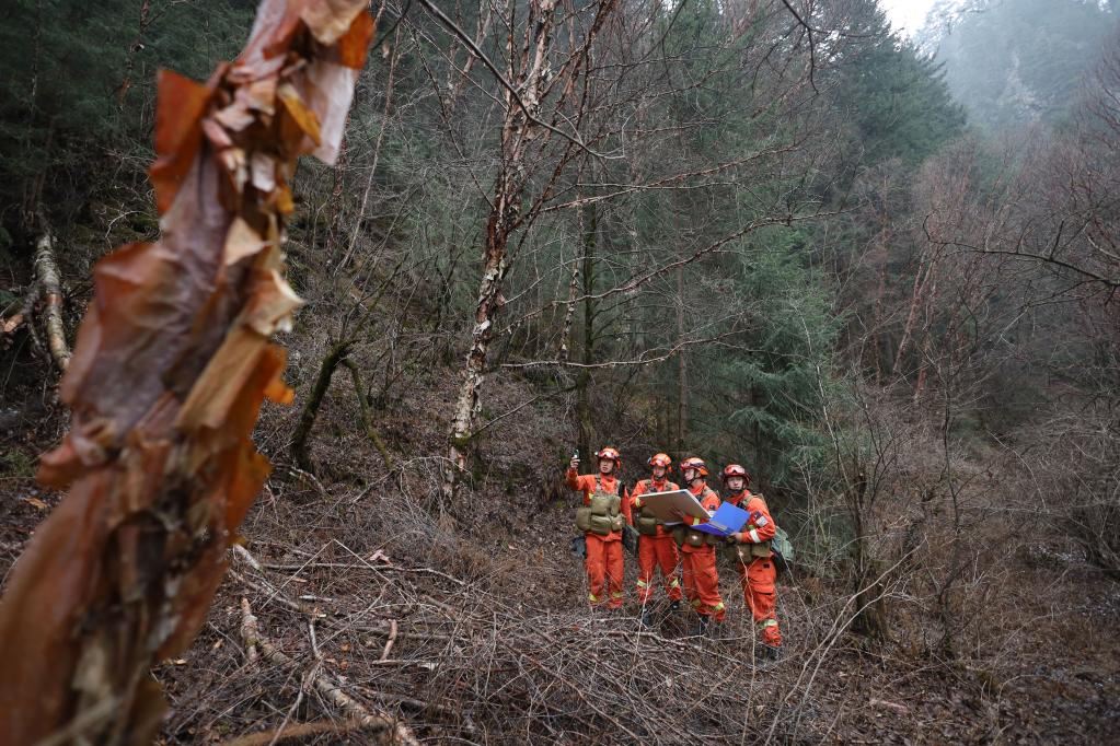 清明巡林，守護茫茫林海