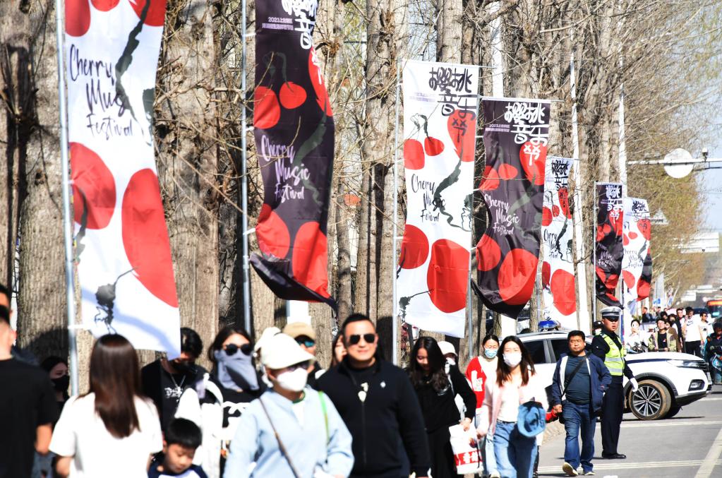 青島：櫻桃音樂(lè )節開(kāi)幕
