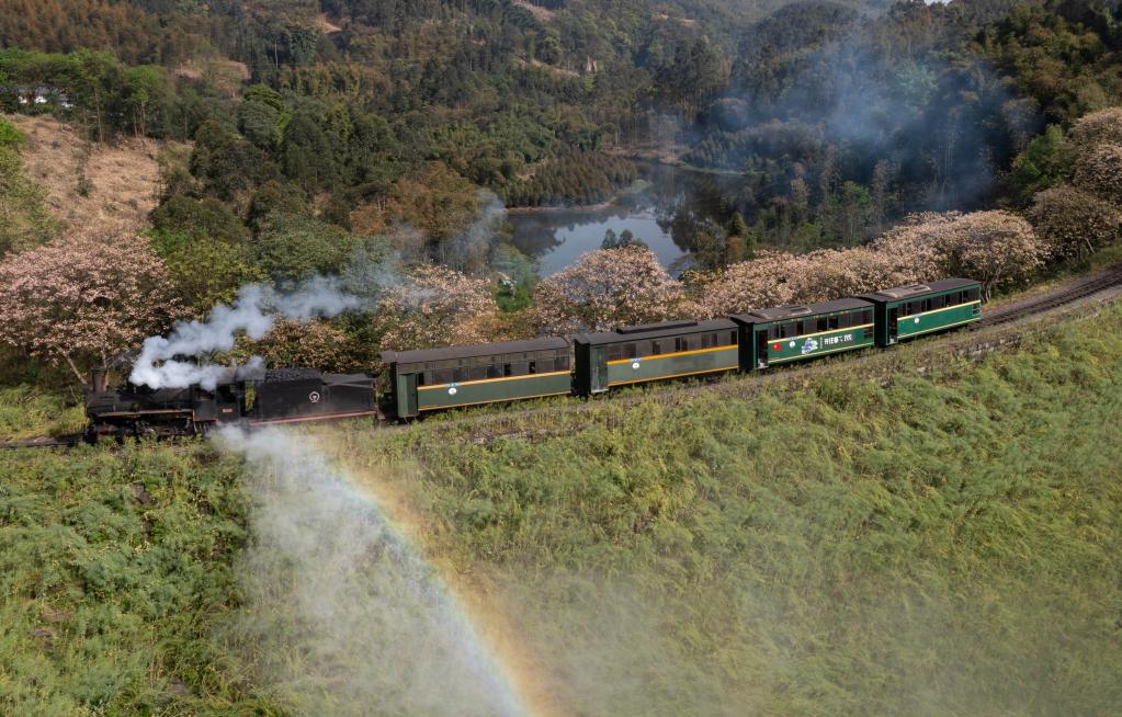 四川犍為：桐子花開(kāi)