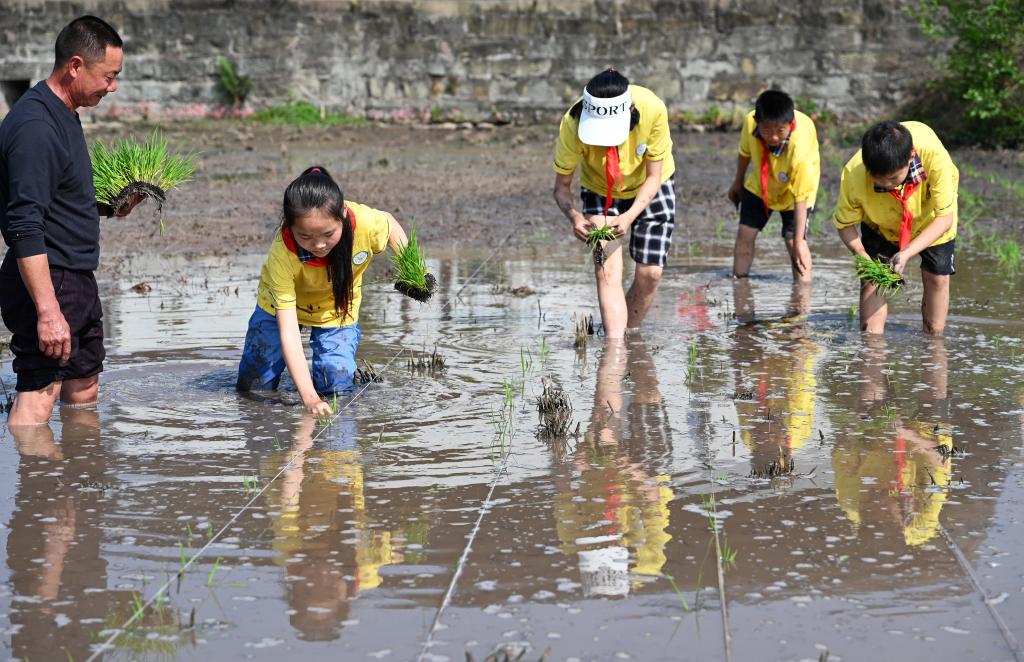 四川內江：農事體驗促成長(cháng)
