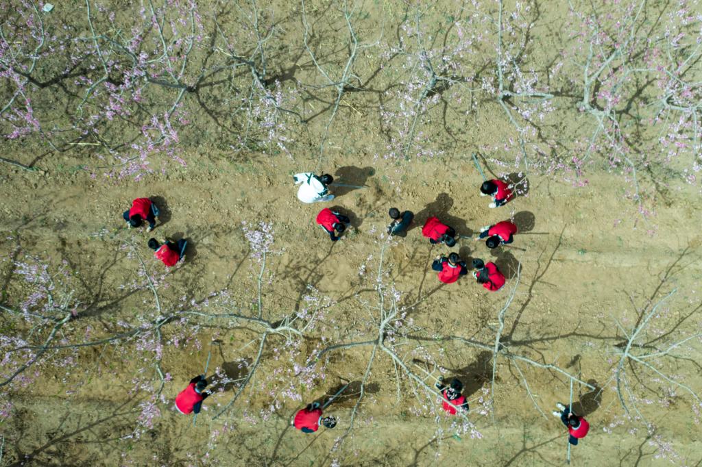 花間課堂 快樂(lè )成長(cháng)