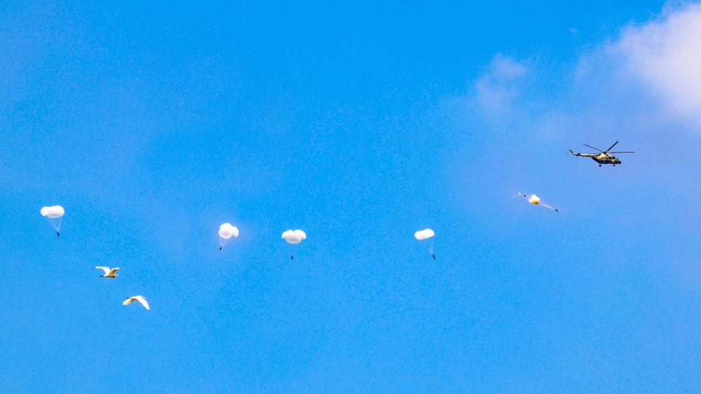 霹靂尖兵淬煉勝戰刀鋒&mdash;&mdash;記新征程上的&ldquo;南京路上好八連&rdquo;