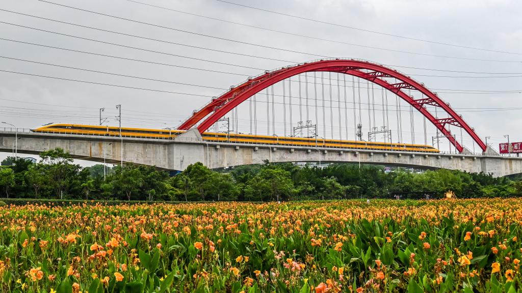 &ldquo;黃醫生&rdquo;逐級提速試驗貴南高鐵