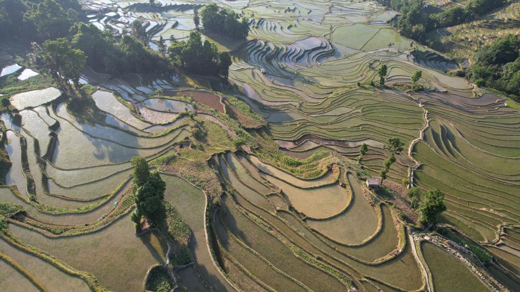 云上梯田灌溉記&mdash;&mdash;探尋世界文化遺產(chǎn)哈尼梯田&ldquo;水密碼&rdquo;