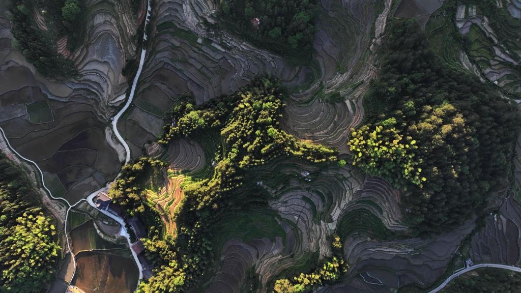 美麗中國丨&ldquo;瞰&rdquo;梯田：水影天光紫鵲界