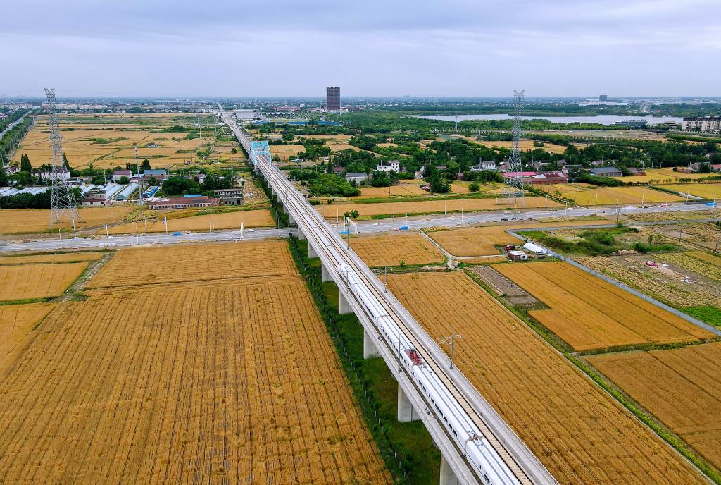 三夏時(shí)節 麥田流金