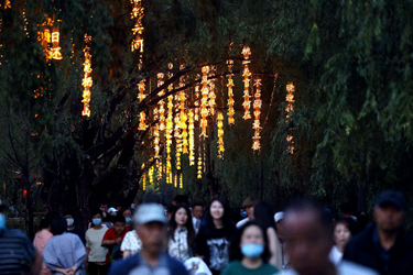 詩(shī)詞漫道&ldquo;一步一詩(shī)&rdquo;