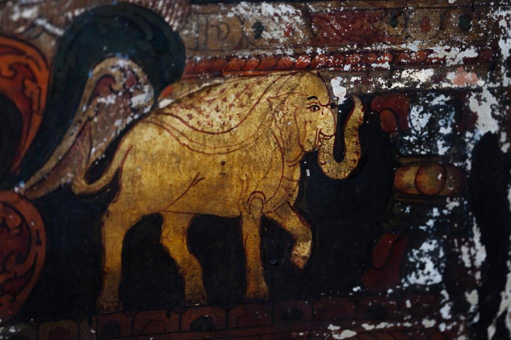 國道之行 從雪山奔向大海丨這么可愛(ài)的國寶，你見(jiàn)過(guò)嗎？