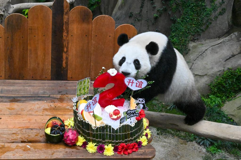 &ldquo;升誼&rdquo;兩歲啦！