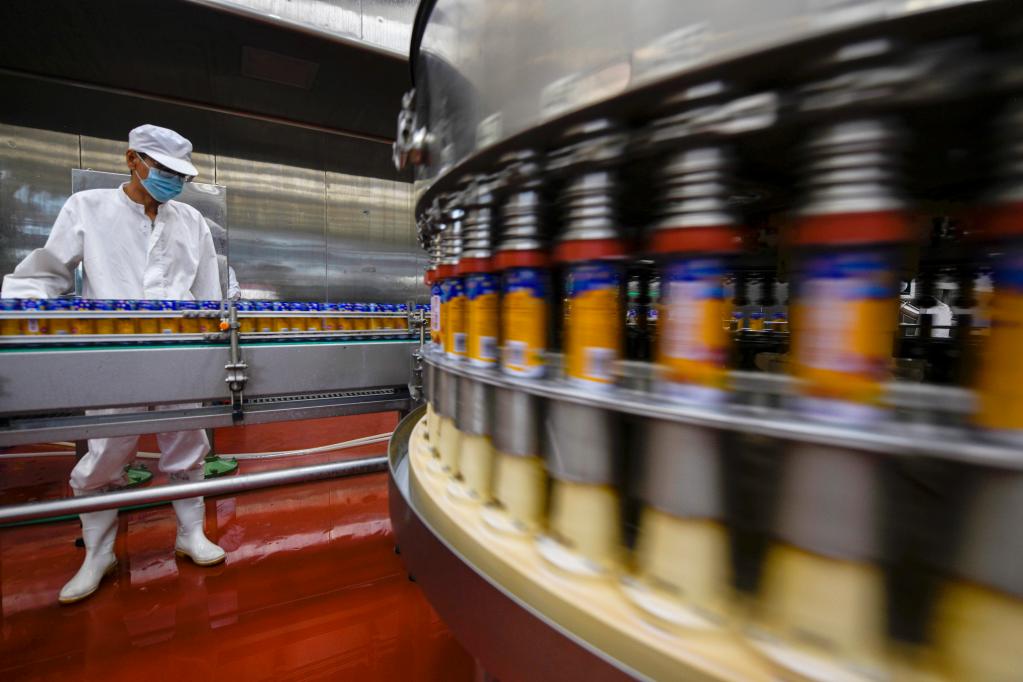 河北承德：發(fā)展杏仁深加工產(chǎn)業(yè) 助力鄉村振興