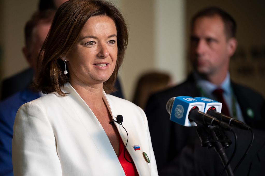 阿爾及利亞等五國當選聯(lián)合國安理會(huì )非常任理事國