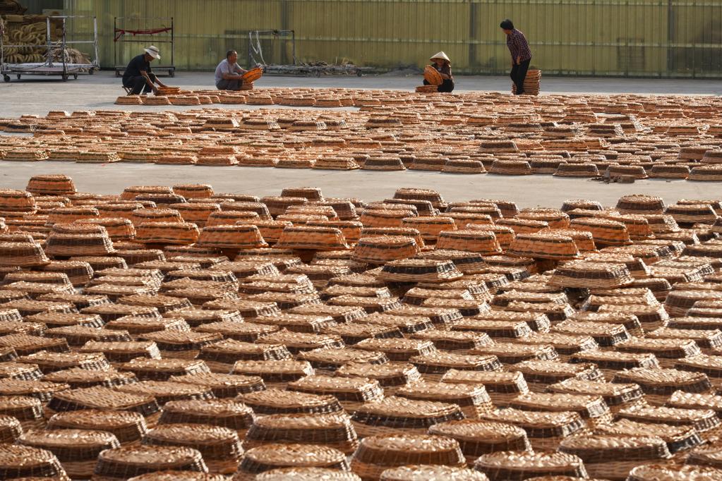 山東臨沭：小柳編編織富民大產(chǎn)業(yè)