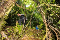 國道之行 從雪山奔向大海|尋找亞洲第一高樹(shù)