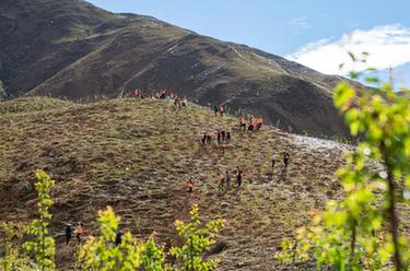拉薩：南北山造林在行動(dòng)