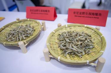 中國首次進(jìn)口肯尼亞野生鳀魚(yú)產(chǎn)品亮相中非經(jīng)貿博覽會(huì )