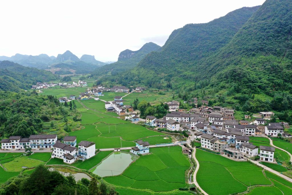 貴州荔波：藝術(shù)從業(yè)者&ldquo;進(jìn)村&rdquo;