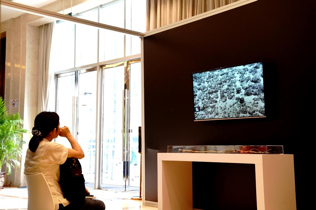 地球系統科學(xué)大會(huì )上的&ldquo;科普熱&rdquo;