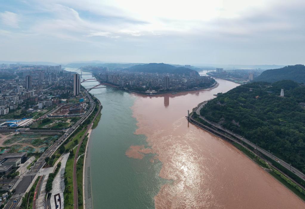 新時(shí)代中國調研行&middot;長(cháng)江篇丨&ldquo;綠動(dòng)&rdquo;宜賓：萬(wàn)里長(cháng)江第一城