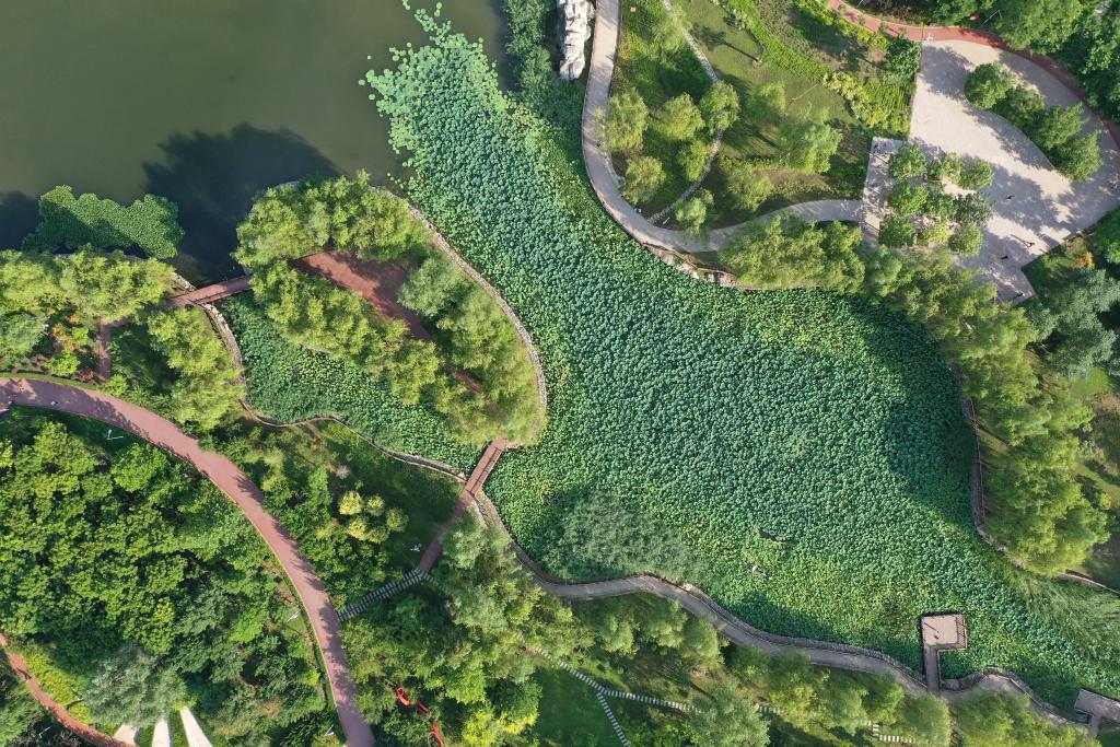 河北白溝：&ldquo;口袋公園&rdquo;扮靚城市空間