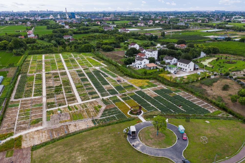 浙江嘉興：美麗鄉村推進(jìn)生態(tài)環(huán)境建設