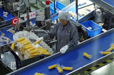 讓飯碗裝上更多優(yōu)質(zhì)&ldquo;龍江糧&rdquo;：黑龍江打造特色現代農業(yè)