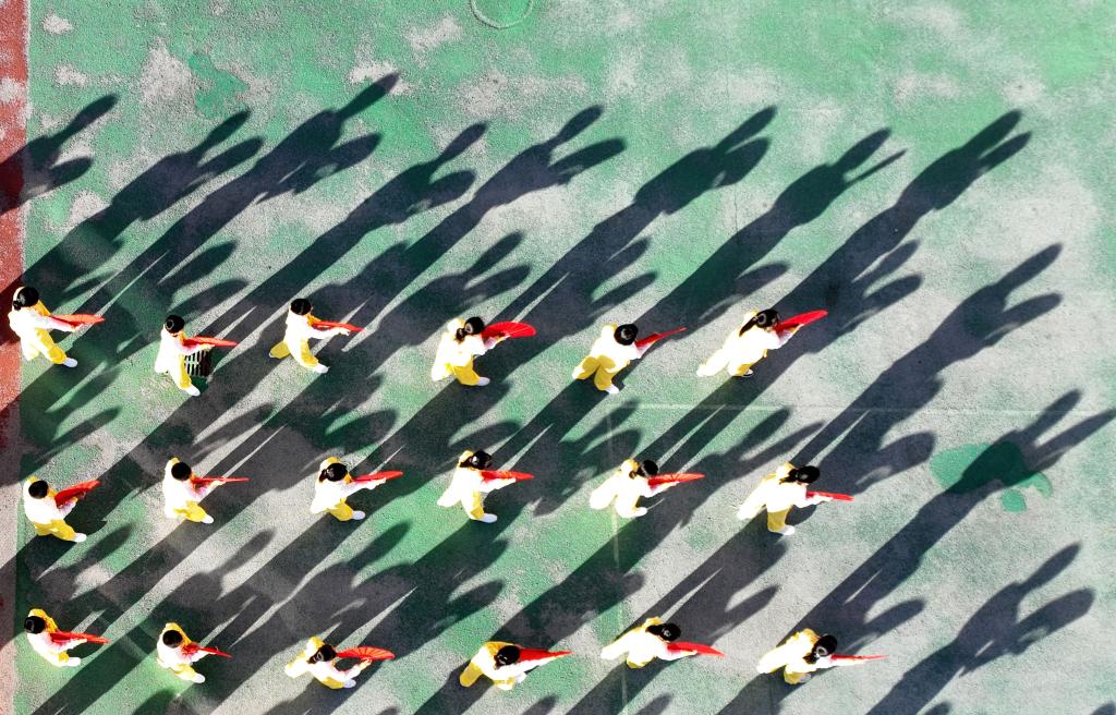 傳統文化進(jìn)校園