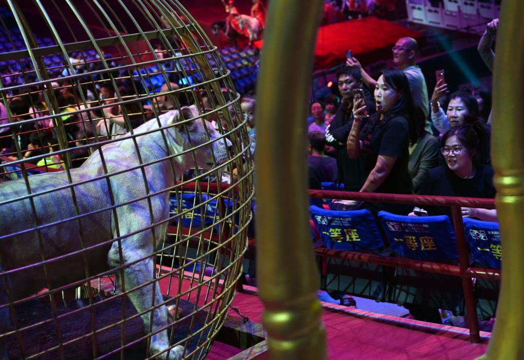 河北承德：特色演出點(diǎn)亮&ldquo;夜經(jīng)濟&rdquo;