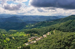 新華全媒+｜天空之眼瞰祖國&mdash;&mdash;飛閱景邁山古茶林文化景觀(guān)