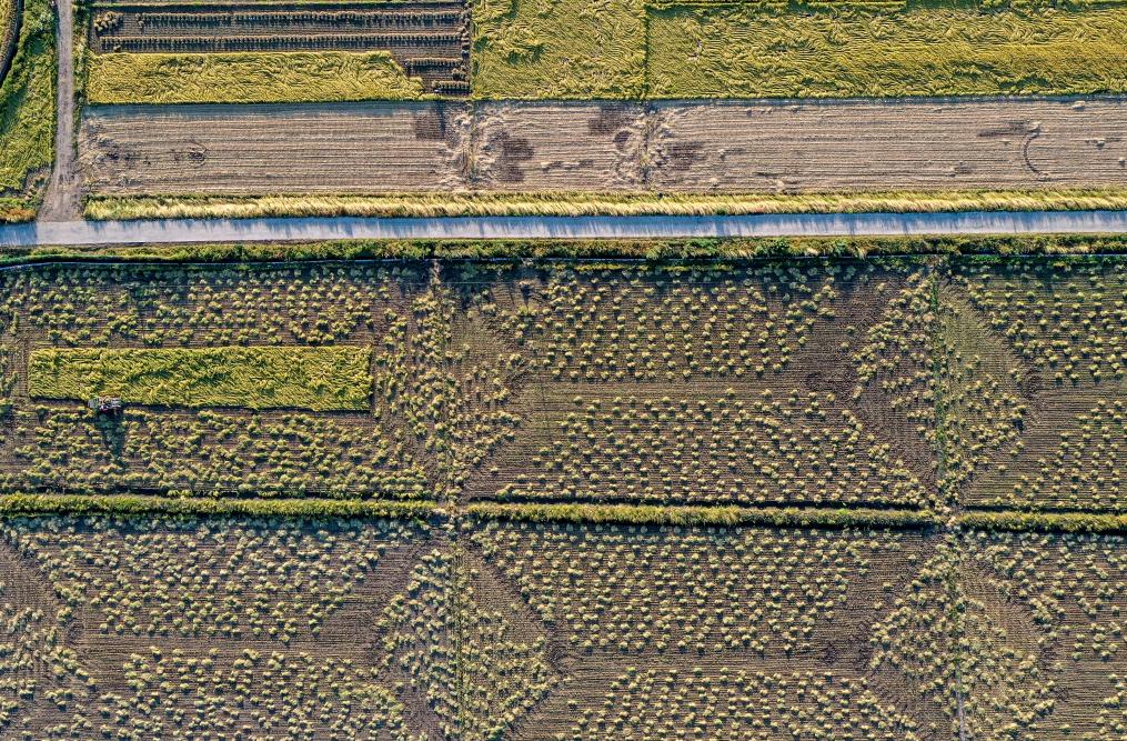 農機入田 農技下鄉&mdash;&mdash;吉林力爭當好國家糧食穩產(chǎn)保供&ldquo;壓艙石&rdquo;