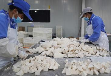 福建長(cháng)?。盒∮箢^ 大產(chǎn)業(yè)