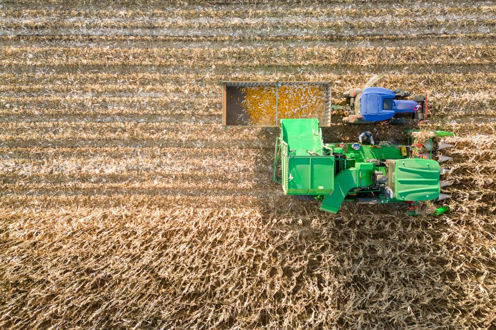 黑龍江甘南縣：遼闊黑土地呈現秋收好&ldquo;豐景&rdquo;