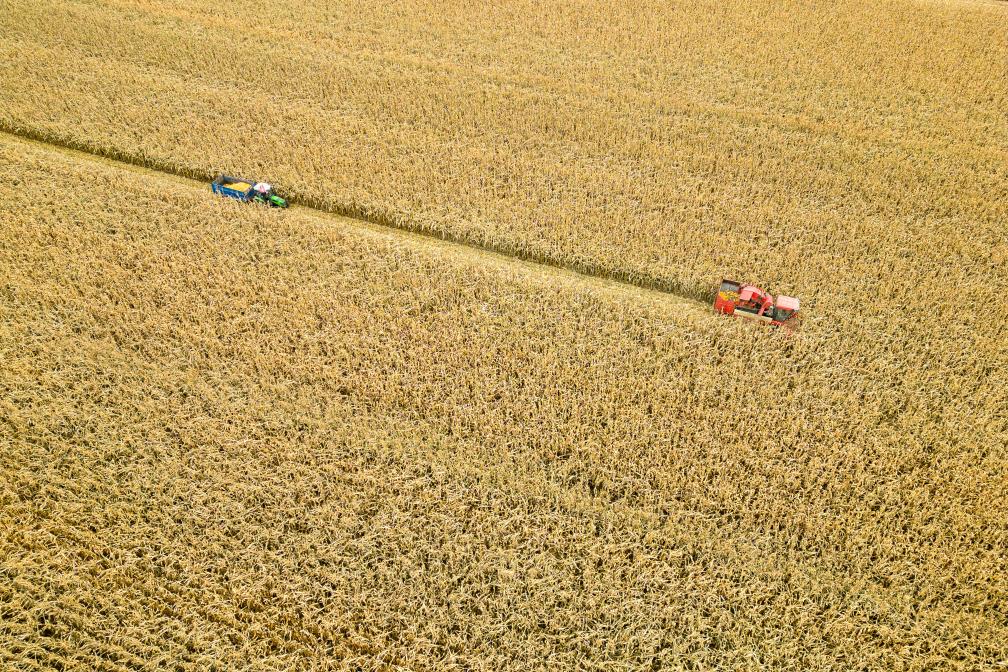 飛閱產(chǎn)糧第一大省黑龍江秋收&ldquo;豐&rdquo;景