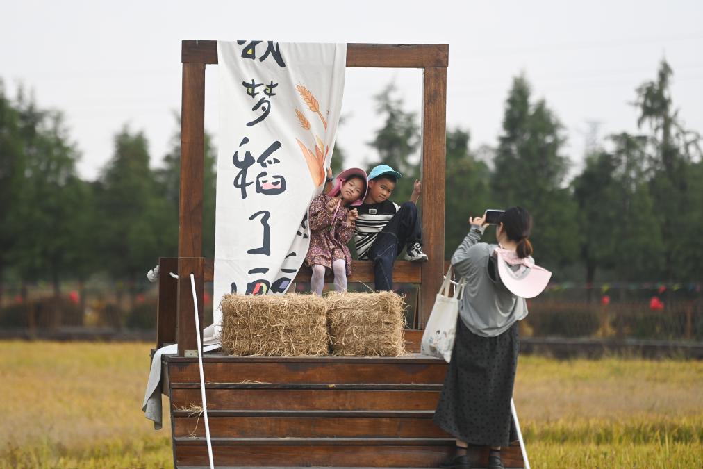 浙江湖州：金秋稻田 樂(lè )享豐收