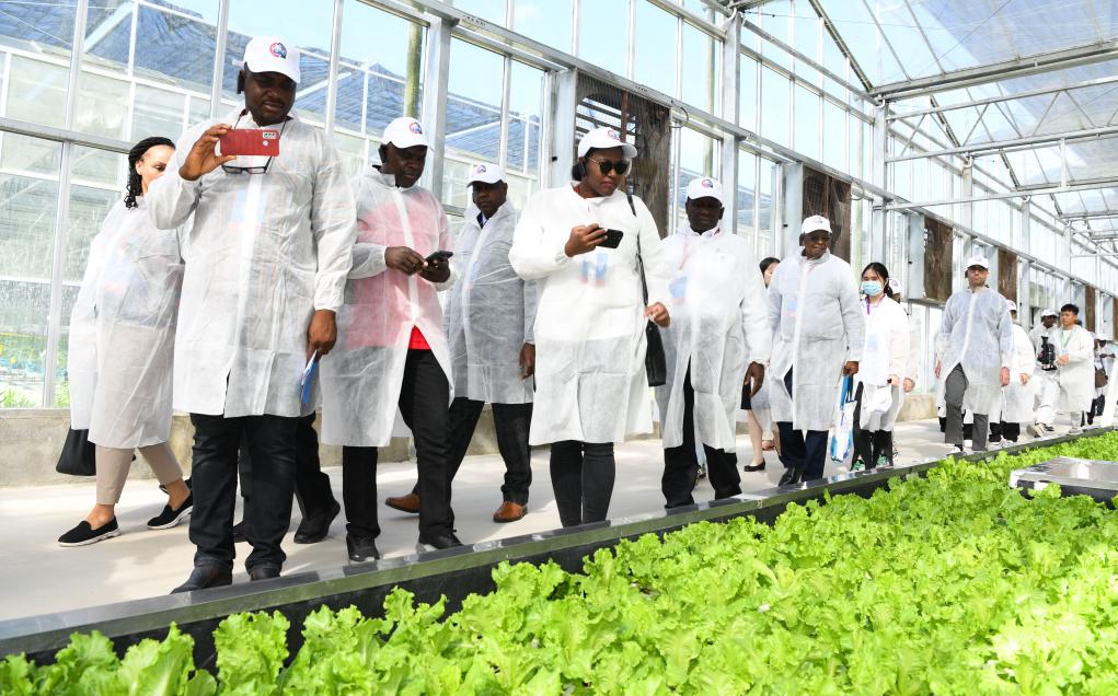 中非農業(yè)合作論壇嘉賓參觀(guān)現代農業(yè)基地