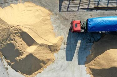 遼寧秋糧收儲收購進(jìn)行時(shí)