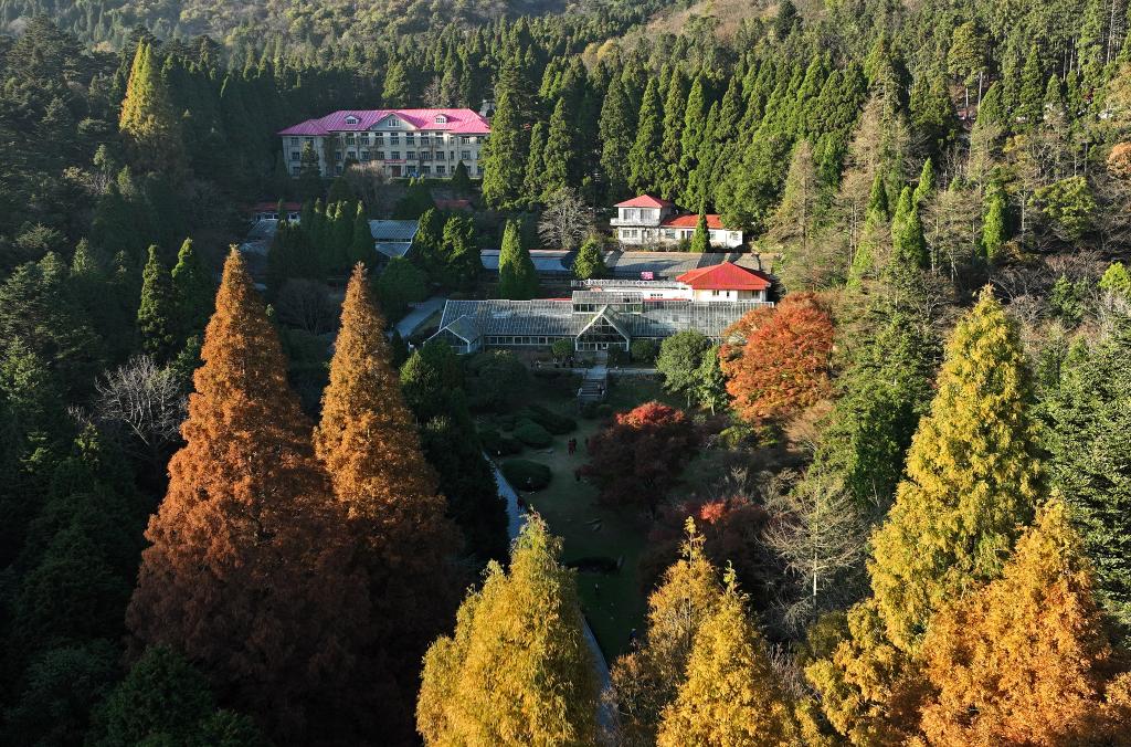 廬山&ldquo;楓&rdquo;景引游人