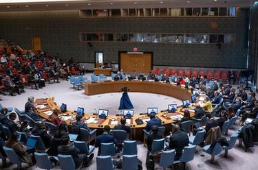 中國推動(dòng)安理會(huì )討論共同發(fā)展促進(jìn)持久和平