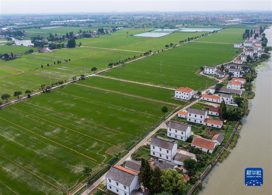 (新華全媒頭條·圖文互動(dòng))(5)從百年黨史汲取不懈奮斗的力量——與會(huì )同志談黨的十九屆六中全會(huì )精神