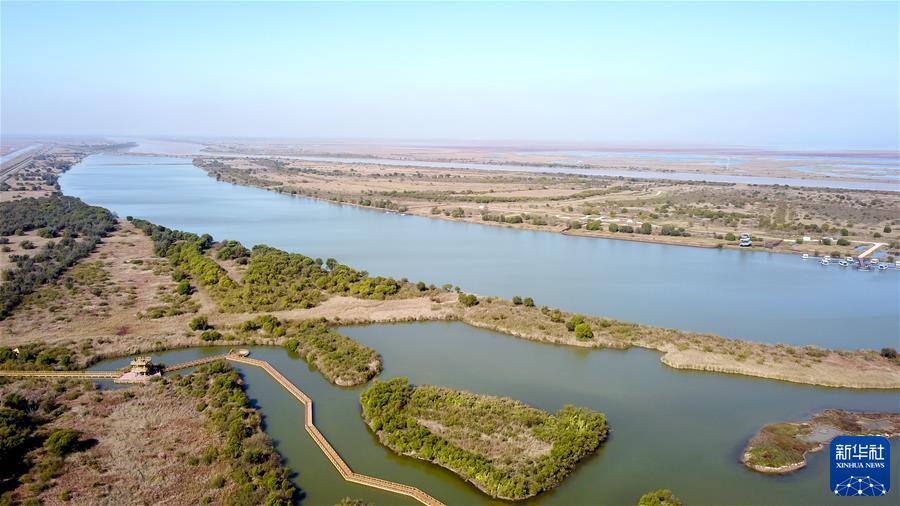 （新華全媒頭條&middot;圖文互動(dòng)）（4）鯤鵬展翅九萬(wàn)里&mdash;&mdash;以習近平同志為核心的黨中央引領(lǐng)中華民族邁向偉大復興述評